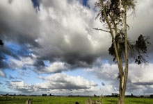 雷火电竞入口-圣西罗惊雷！AC米兰遭勇士重创，意甲王座暗战升级