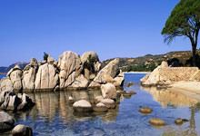 开云APP-红蓝烽火：利物浦铁蹄踏破斗牛士，奥运战场暗涌三重杀机