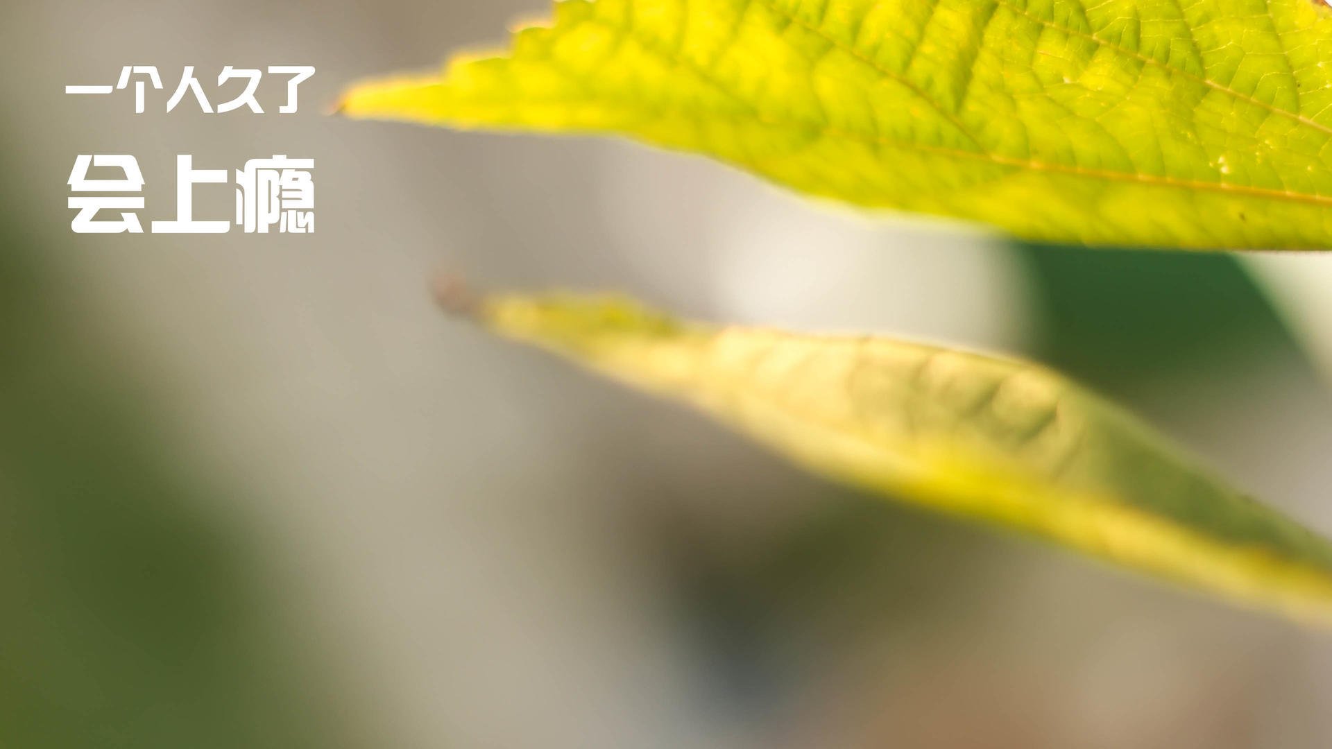 西甲国家德比之夜,富安健洋的双重战场,当维尼修斯在右路熄火时,亚洲铁闸正铸造历史